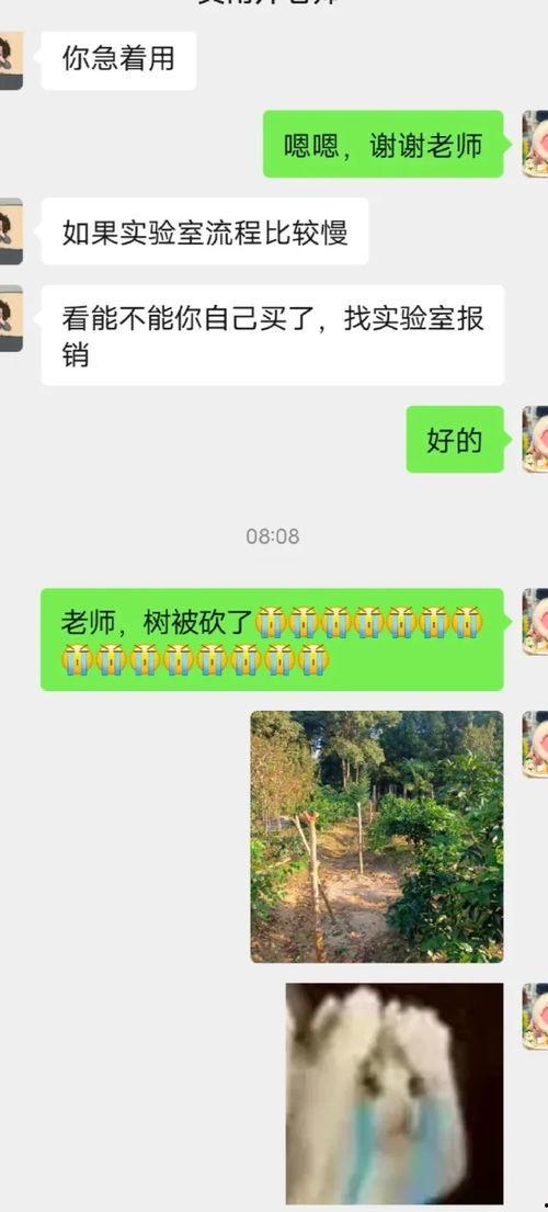 娱乐吃瓜君论文,揭秘娱乐圈幕后真相的深度剖析