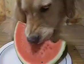 娱乐吃瓜汪,揭秘娱乐圈那些不为人知的幕后故事